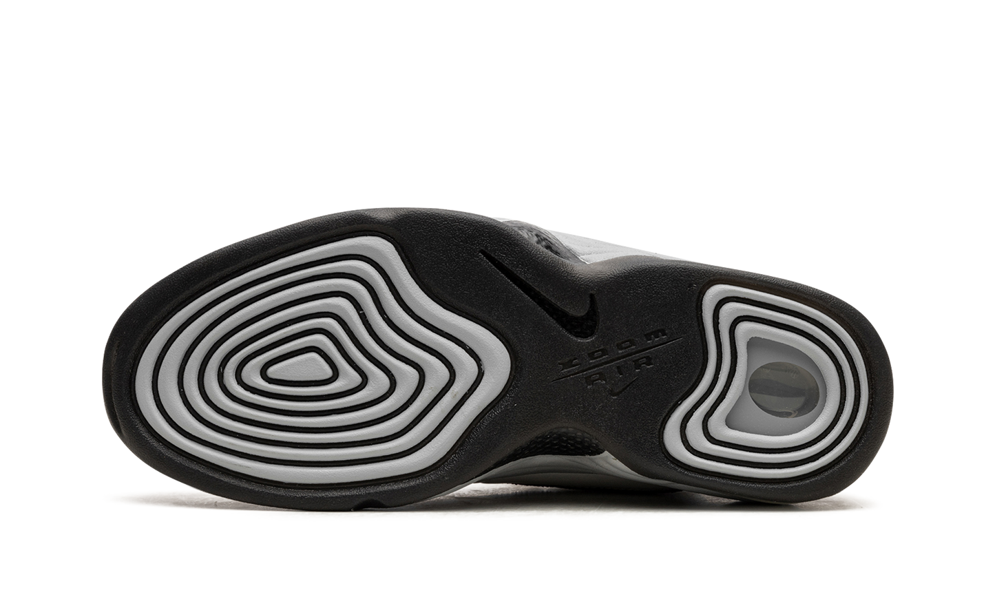 AIR PENNY 2 WMNS Rosewood DV1163 100