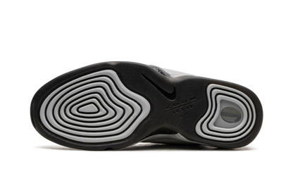 AIR PENNY 2 WMNS Rosewood DV1163 100