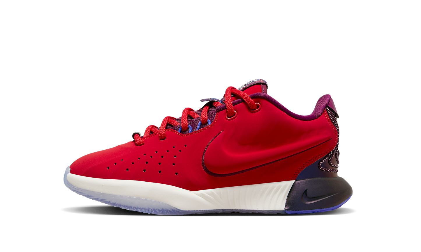 LeBron 21 GS James Theater FN4305 600