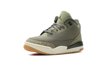 Air Jordan 3 PS Family Affair DM0966 202