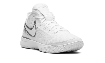 Zoom Lebron NXXT Gen White / Metallic Silver DR8784 101