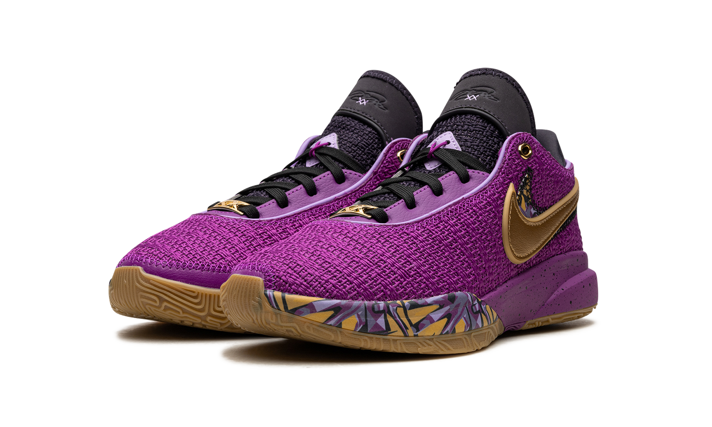 LeBron 20 GS Young Heirs FD0207 500