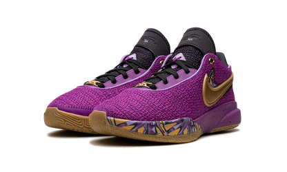 LeBron 20 GS Young Heirs FD0207 500