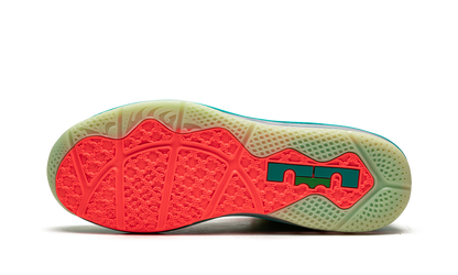 LeBron 9 Low LeBronald Palmer DO9355 300