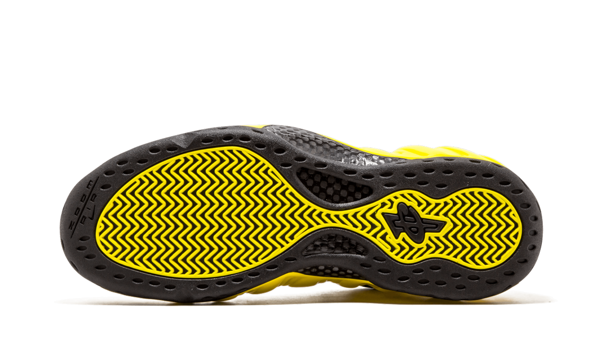 Air Foamposite One Wu Tang 314996 701