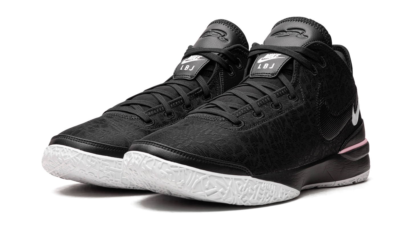Nike Zoom LeBron NXXT Gen Black/White DR8784 003