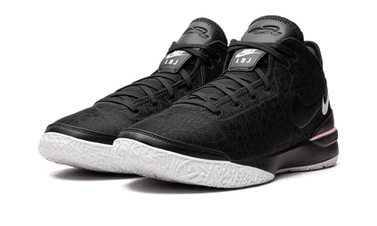 Nike Zoom LeBron NXXT Gen Black/White DR8784 003