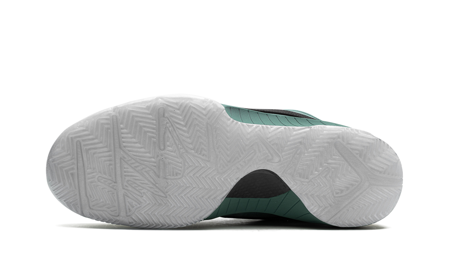 Zoom Kobe 4 Protro Bicoastal FQ3545 300