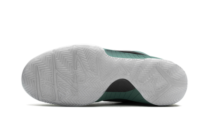 Zoom Kobe 4 Protro Bicoastal FQ3545 300