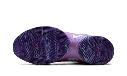 LeBron 22 Frozen Grapes HV8454 001