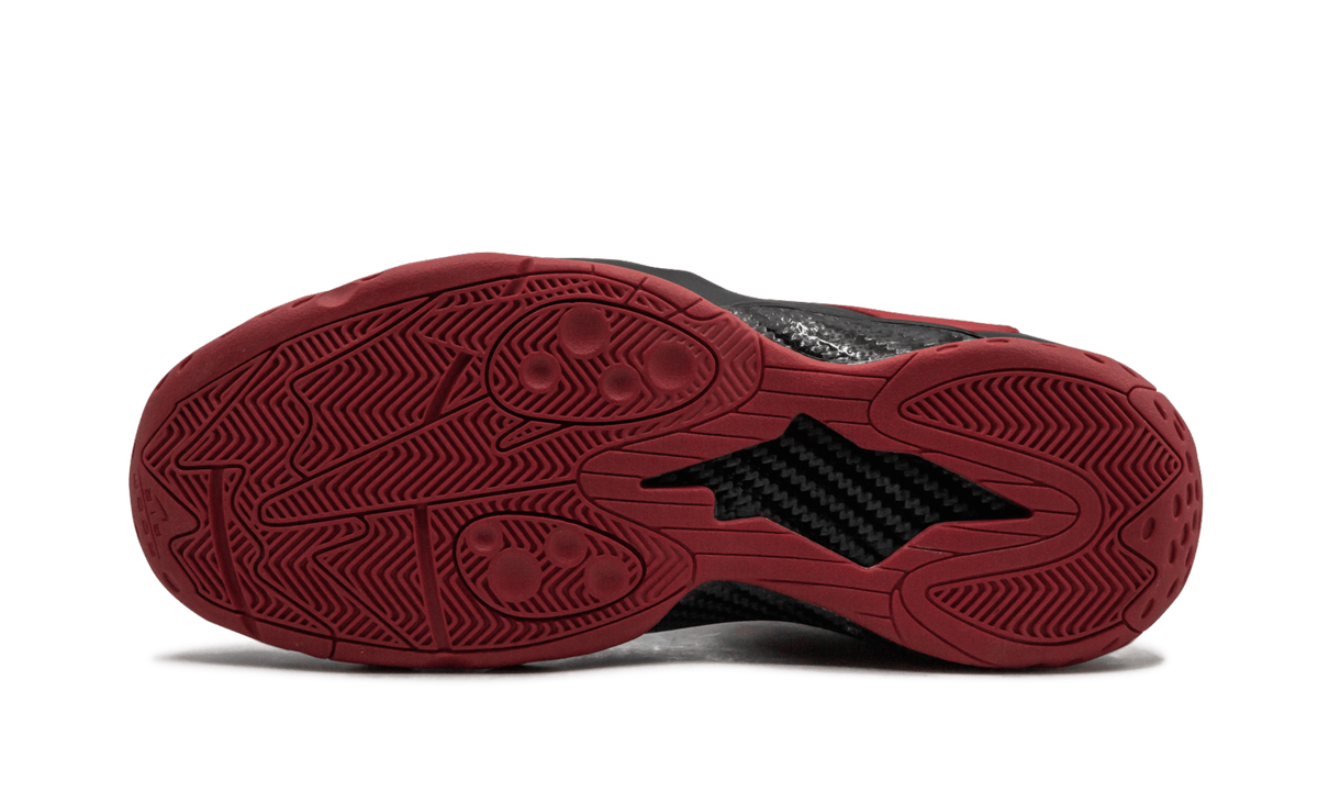 Zoom Rookie Bred BQ3379 600