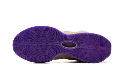 LeBron 21 Purple Rain FV2345 500