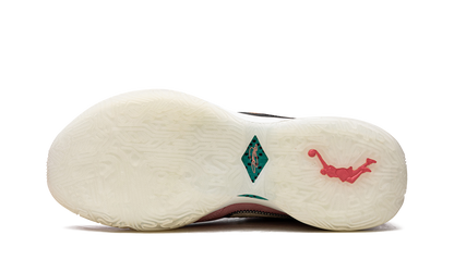 LEBRON 20 South Beast DQ3828 900