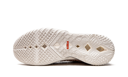 Lebron 18 Multi Animal Print CW3156 900