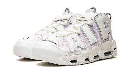 Air More Uptempo Thank You, Wilson DR9612 100