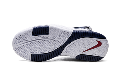LeBron Zoom 2 USA DR0826 100