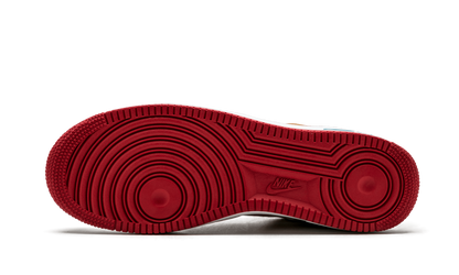 Air Force 1 Low Premium Year Of Dog 313404 611