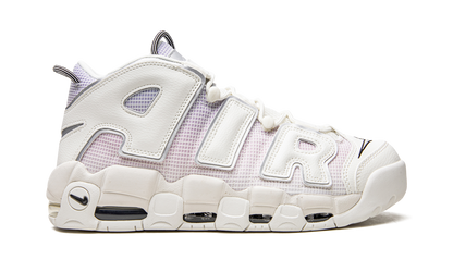 Air More Uptempo Thank You, Wilson DR9612 100