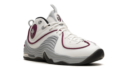 AIR PENNY 2 WMNS Rosewood DV1163 100