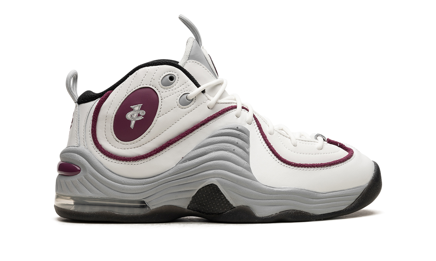 AIR PENNY 2 WMNS Rosewood DV1163 100