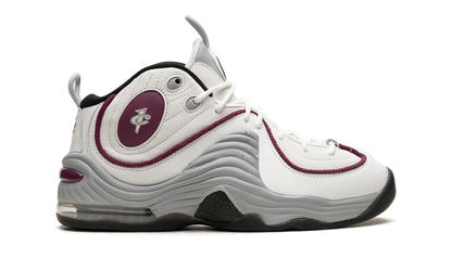 AIR PENNY 2 WMNS Rosewood DV1163 100