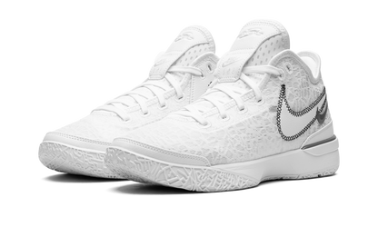 Zoom Lebron NXXT Gen White / Metallic Silver DR8784 101