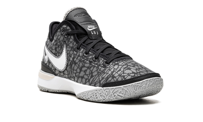 Zoom LeBron NXXT Gen Black / Wolf Grey DR8784 005