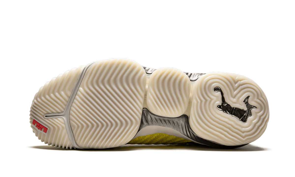 Lebron 16 HFR CI1145 700
