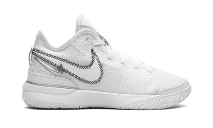 Zoom Lebron NXXT Gen White / Metallic Silver DR8784 101