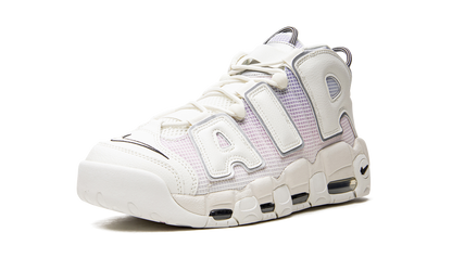 Air More Uptempo Thank You, Wilson DR9612 100