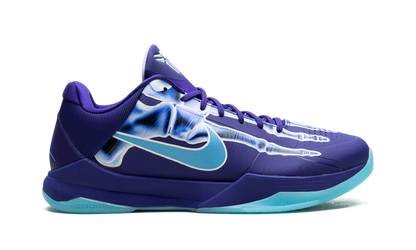 Zoom Kobe 5 Protro X-Ray HJ4303 400
