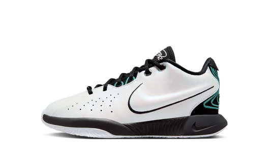 LeBron 21 GS Conchiolin FZ7189 100