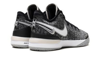 Zoom LeBron NXXT Gen Black / Wolf Grey DR8784 005