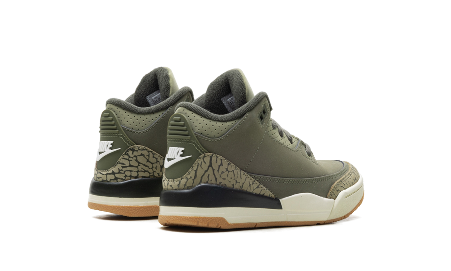 Air Jordan 3 PS Family Affair DM0966 202