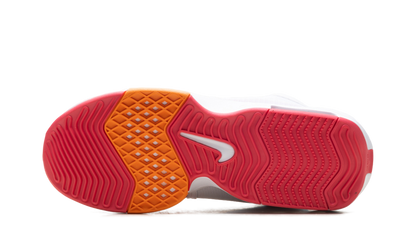 LEBRON WITNESS 8 DUNKIN DONUTS FB2239 104