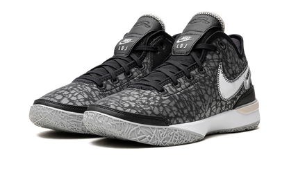 Zoom LeBron NXXT Gen Black / Wolf Grey DR8784 005