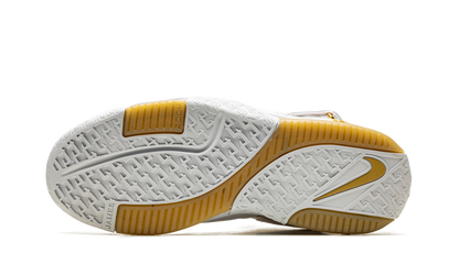 LeBron 2 Maccabi Tel Aviv DJ4892 100